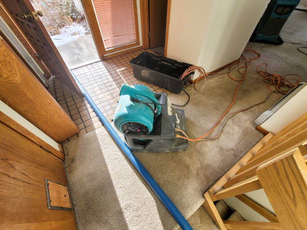  Mount Healthy Heights, OH Water damage restoration Pros